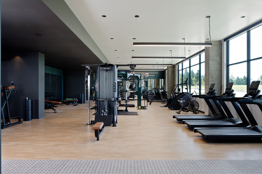 A gym with treadmills, weights, and exercise equipment.