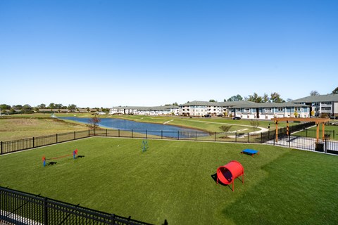 A playground with a blue pool and red and blue play structures.
