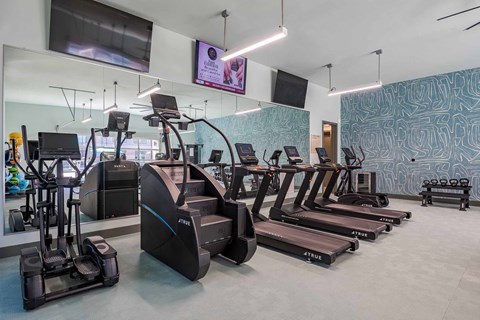 A gym with treadmills and elliptical machines.