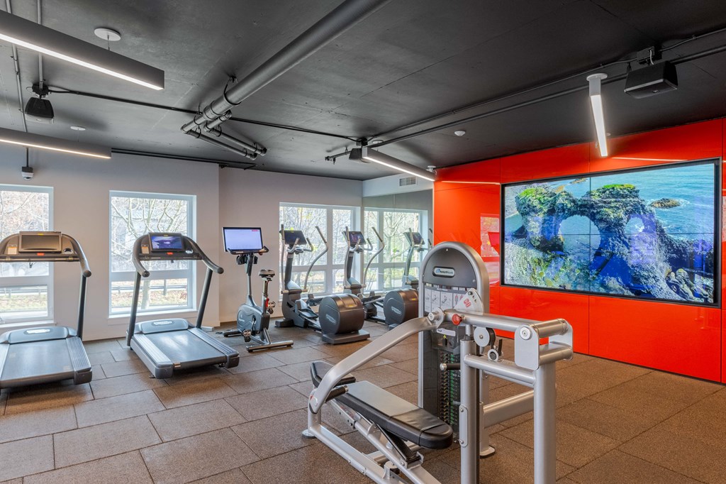 A gym with treadmills, exercise bikes, and a television screen showing a rocky landscape.at Axle, Seattle, WA