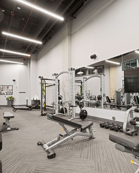 A gym with a variety of equipment including weights and a bench press.