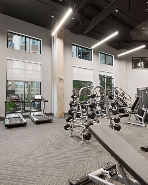 A gym with treadmills, weights, and exercise equipment.