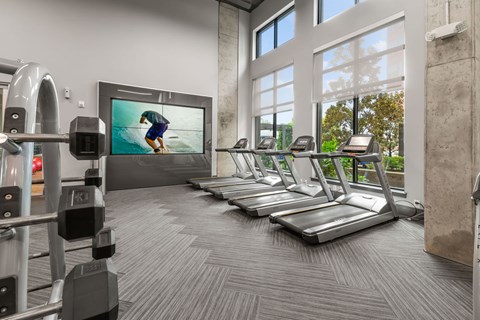 A gym with treadmills, weights, and a television playing a movie.