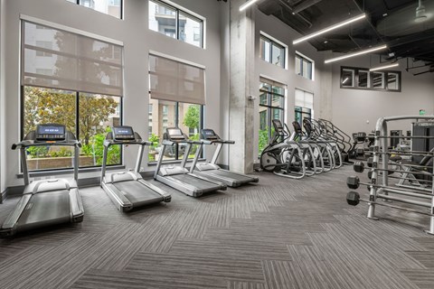 A gym with treadmills, weights, and exercise bikes.