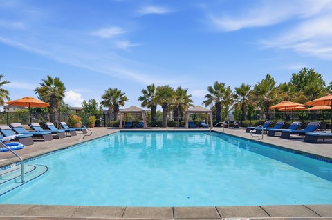 A large swimming pool surrounded by palm trees and lounge chairs.