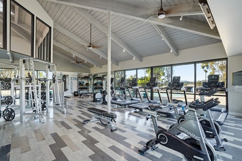A gym with a variety of equipment including treadmills and weights.
