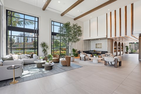 A spacious living room with a large window, a sofa, a coffee table, and a potted plant.