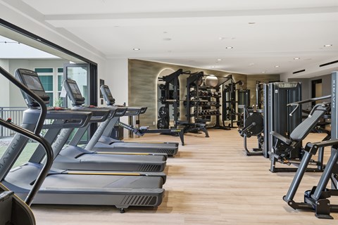 A gym with treadmills and other exercise equipment.
