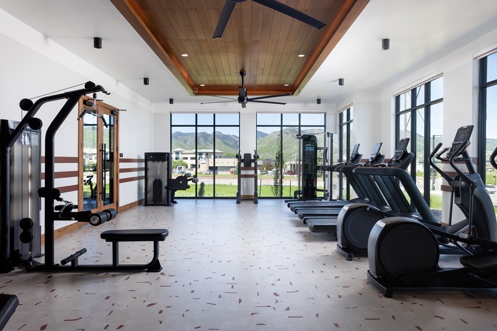 A gym with a row of treadmills and a row of dumbbell racks.