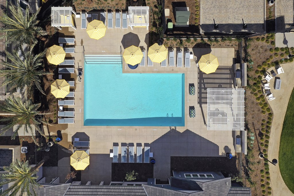 A large swimming pool surrounded by yellow sun loungers.