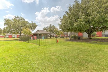 Dog Park Dog Park - Photo Gallery 2
