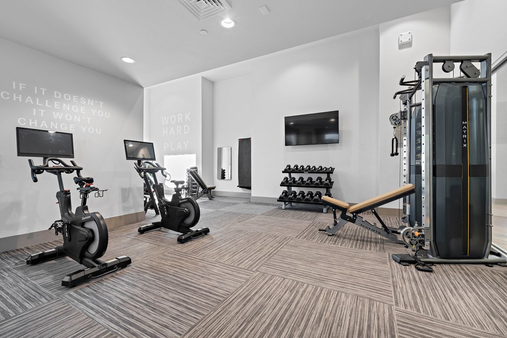A gym with a row of stationary bikes and a squat rack.