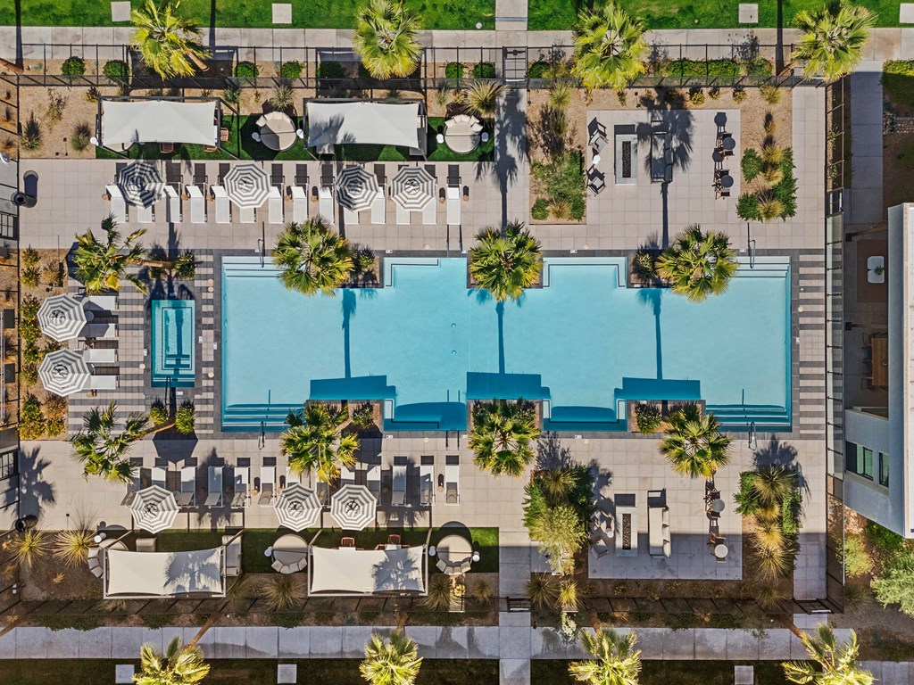 An aerial view of a pool surrounded by palm trees and lounge chairs.