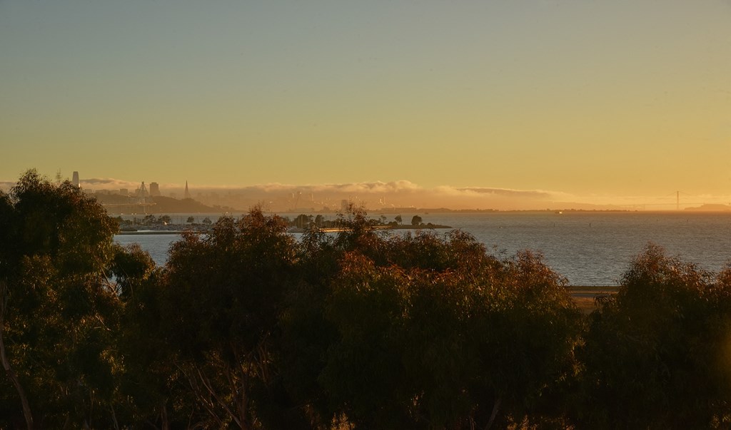 the city of san francisco in the distance
