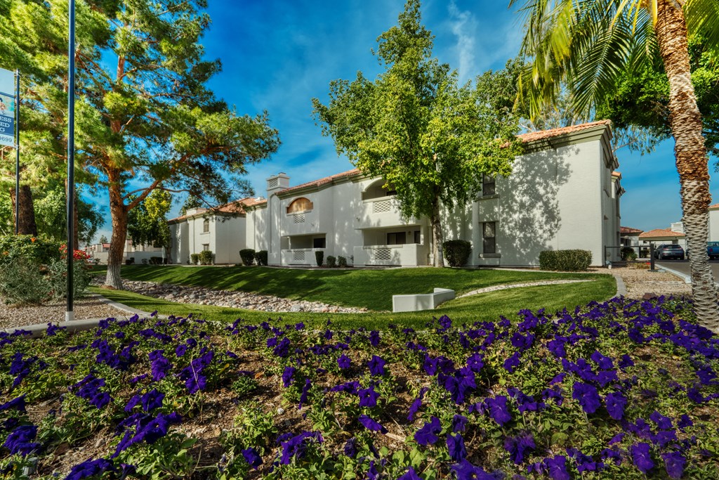 a garden with purple flowers in front of a house