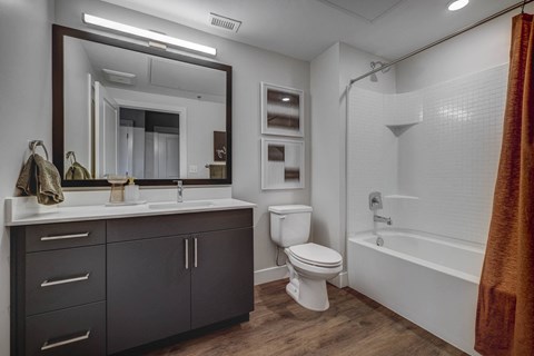 a bathroom with a toilet sink mirror and bathtub