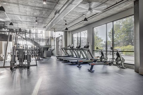 a row of treadmills and other exercise equipment in a gym