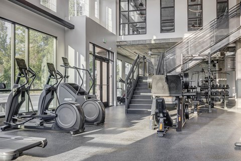 a gym with treadmills and other exercise equipment
