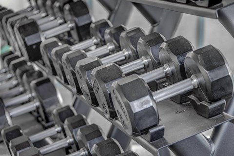 a row of dumbbells in a gym
