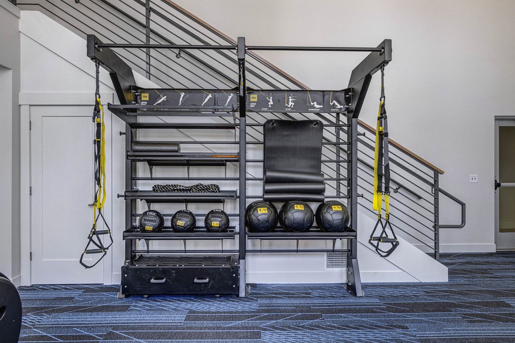 Gym Equipment stand with fitness bands, exercise mats, and weighted balls