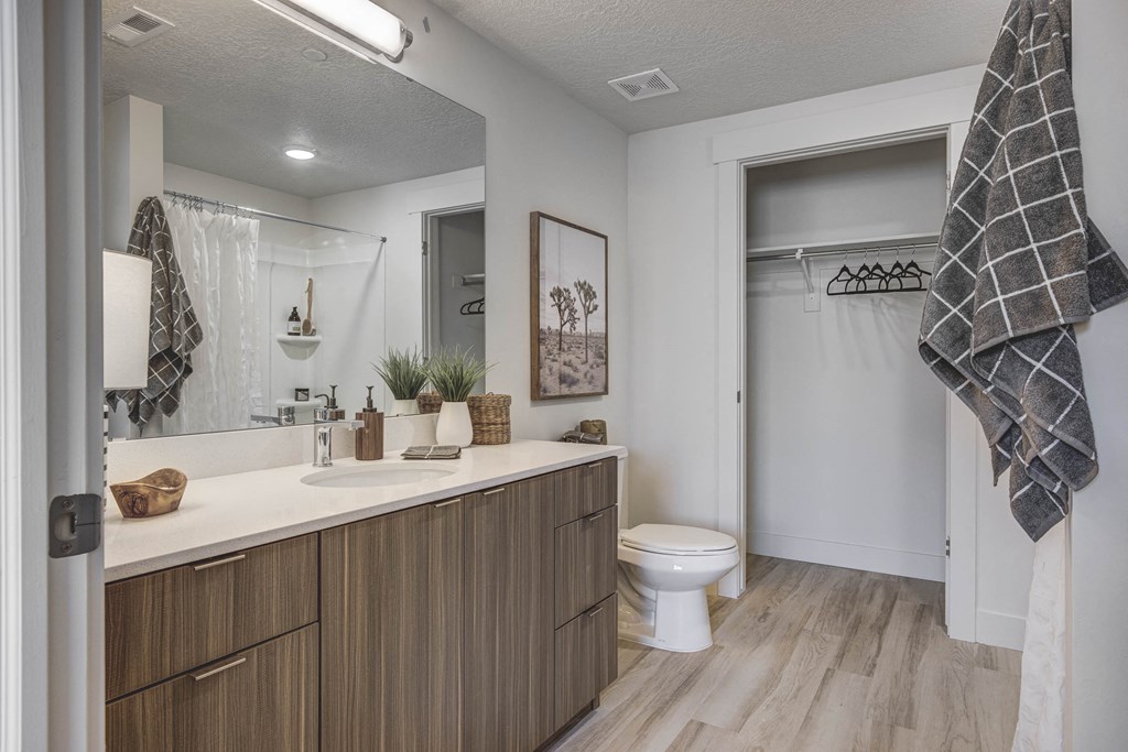 Bathroom with large vanity, mirror, wood tone floors, and walk-in closet