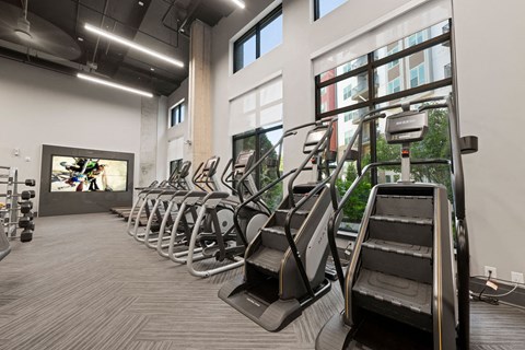 a row of cardio machines in a fitness room
