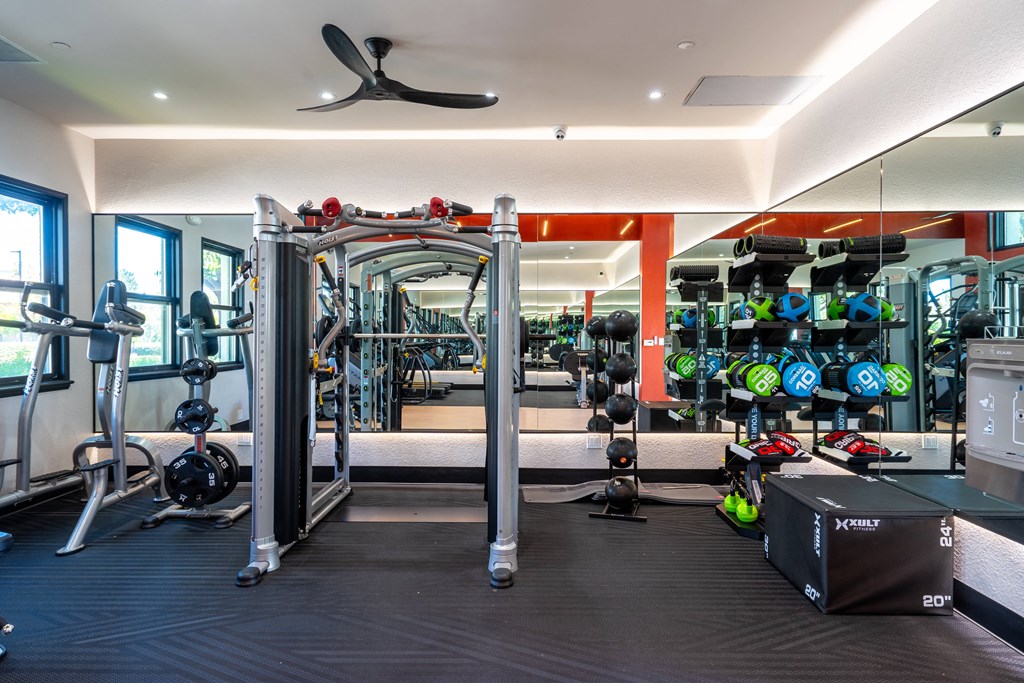 a gym with cardio equipment and weights on the wall