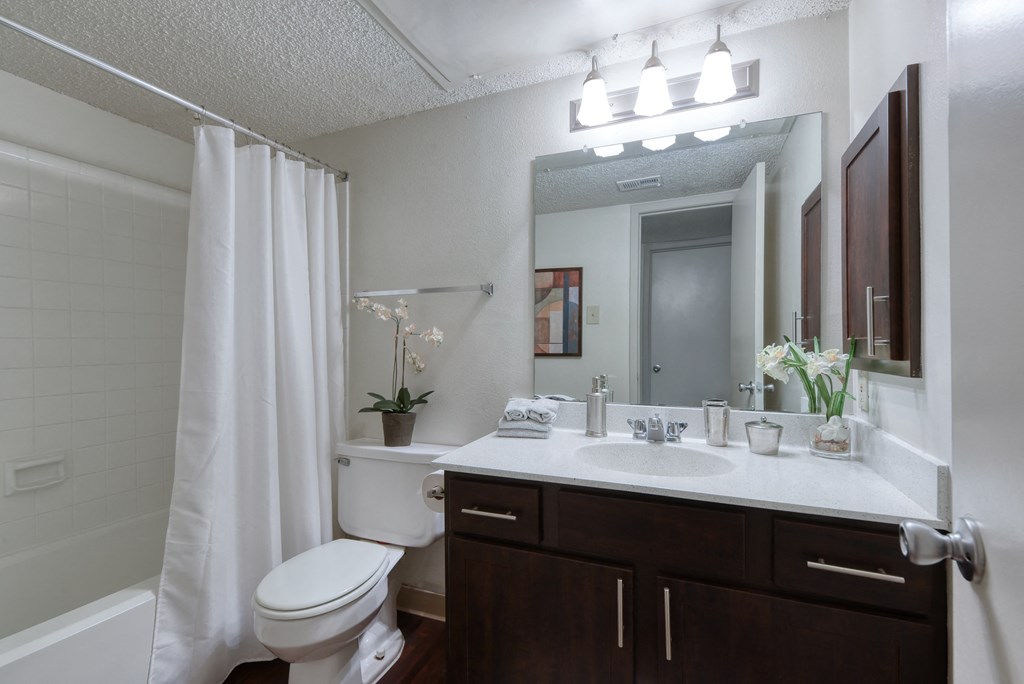 a bathroom with a toilet sink mirror and bathtub