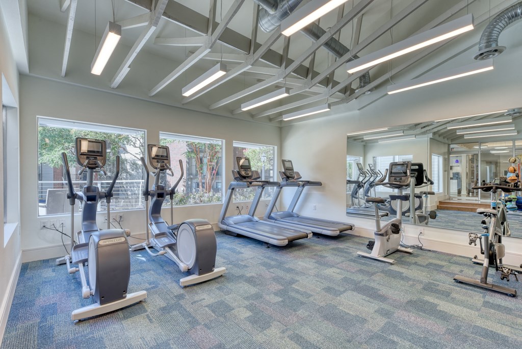 our fitness center has a variety of exercise equipment
