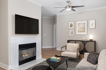 Living room with fireplace - Photo Gallery 4