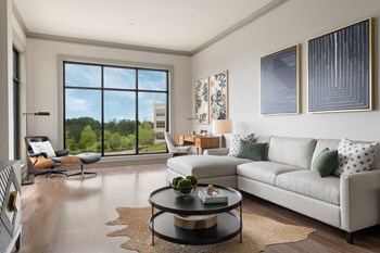 Living Area - Photo Gallery 3