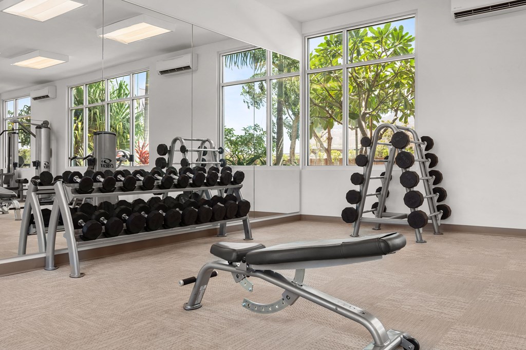 Fitness Center Weights