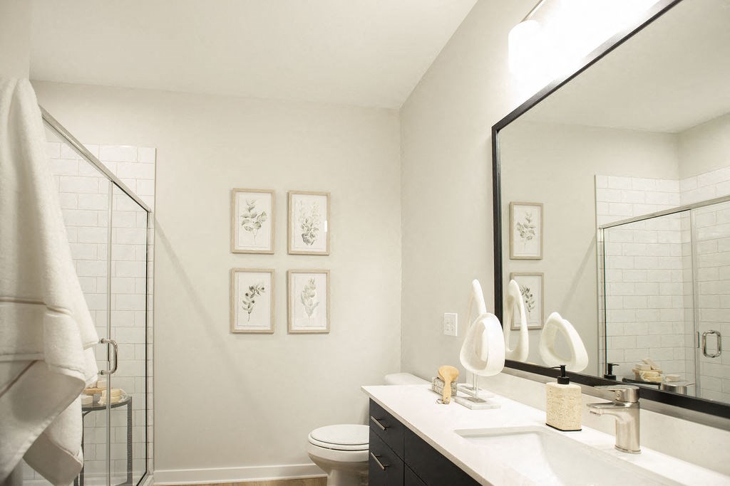 a bathroom with a mirror and a toilet and a sink