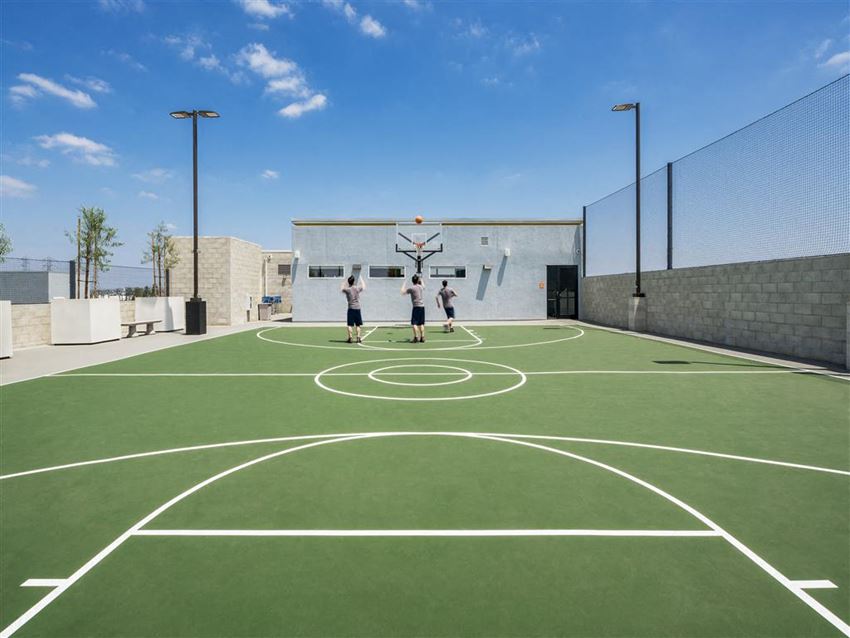 Basketball court
