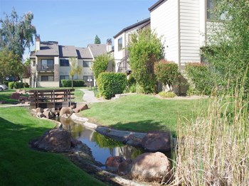 Creek - Photo Gallery 4