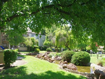 Grounds - Photo Gallery 6