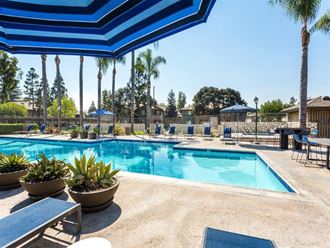 Swimming Pool With Relaxing Sundecks at The Ashton, Corona, California