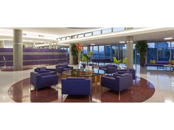 3150 Wilshire Blvd #723 Studio-2 Beds Apartment for Rent - Photo Gallery 5
