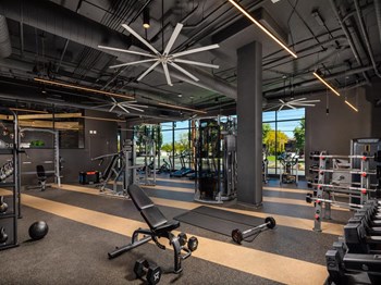 Fitness Center fitness center - Photo Gallery 5