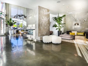 201 Marshall St. Studio-2 Beds Apartment for Rent - Photo Gallery 5