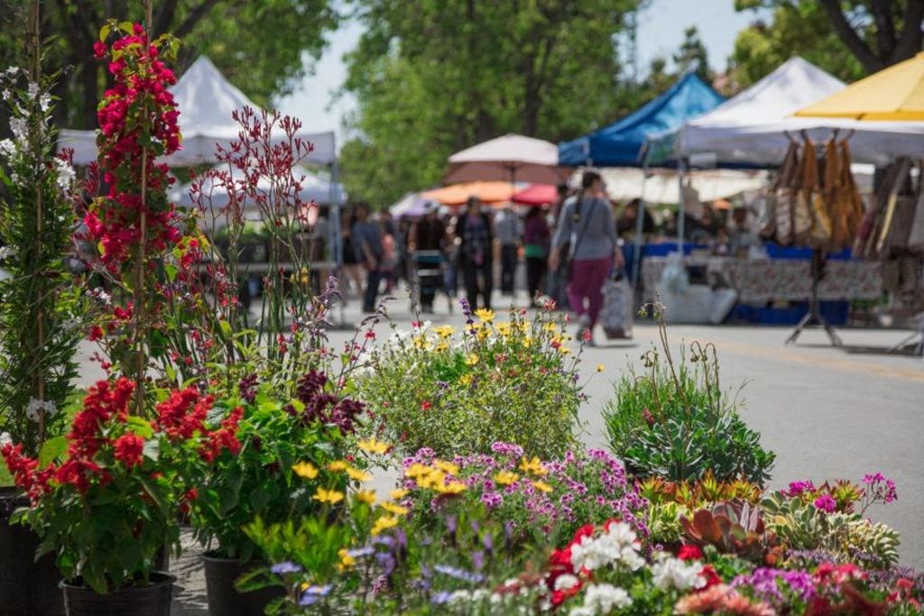 colorful plants people walking around