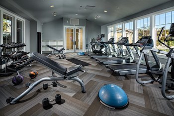 gym - Photo Gallery 43
