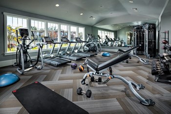 gym - Photo Gallery 45