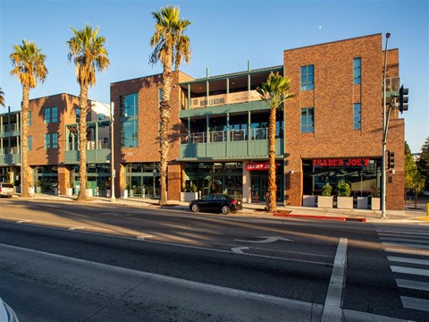 a street view of two brick buildings with palm trees in front of them