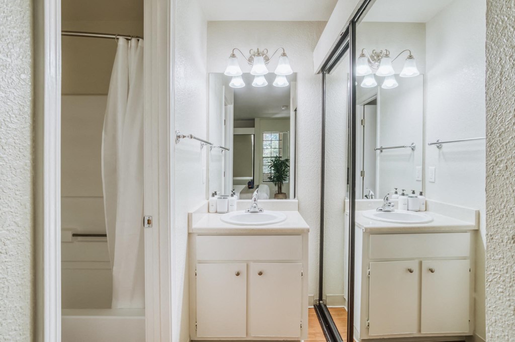 a bathroom with a sink and a mirror and a shower