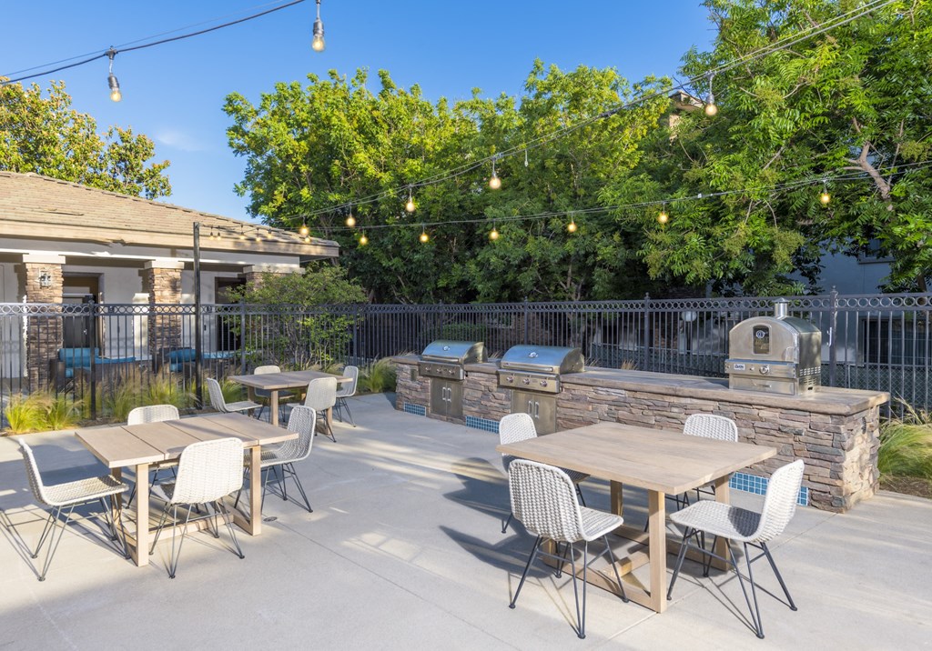 BBQ and Pizza Cooker