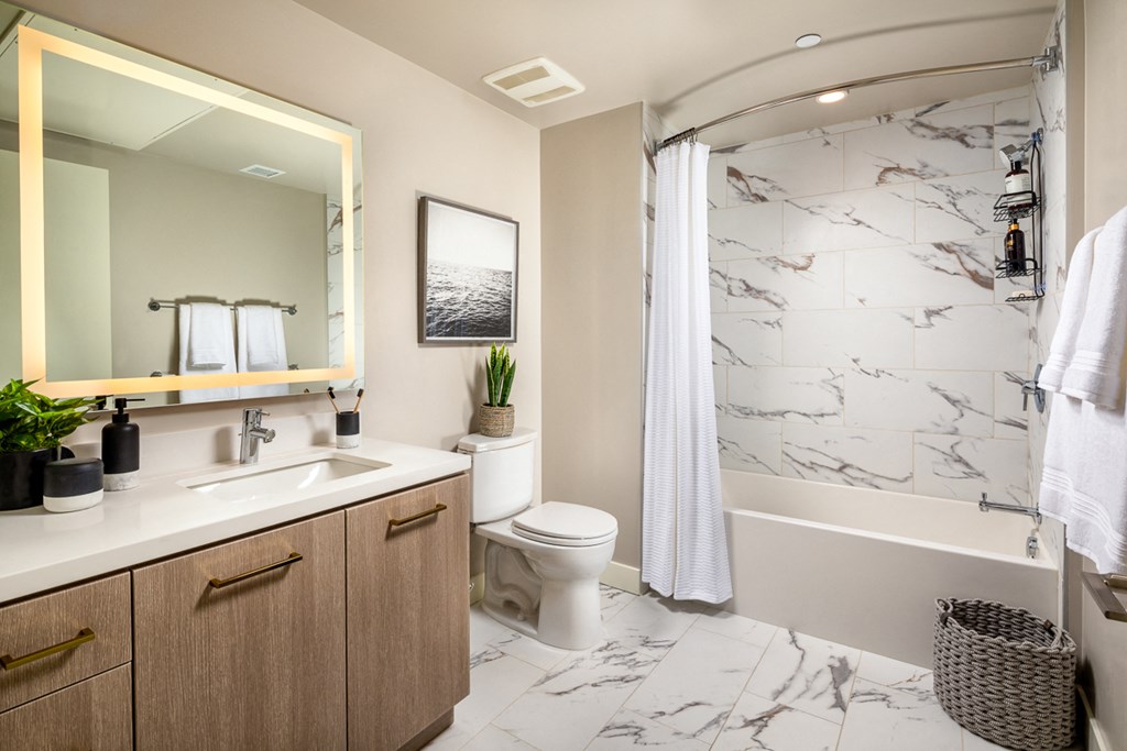 a bathroom with a shower toilet and sink and a mirror