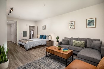 Hailey Studio Bedroom Hailey Tacoma Apartments - Photo Gallery 2
