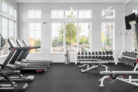 A gym with treadmills, dumbbells, and a rowing machine.