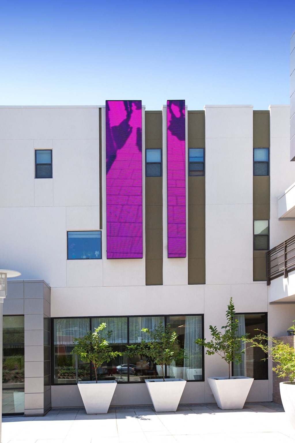 exterior building white and purple with plants